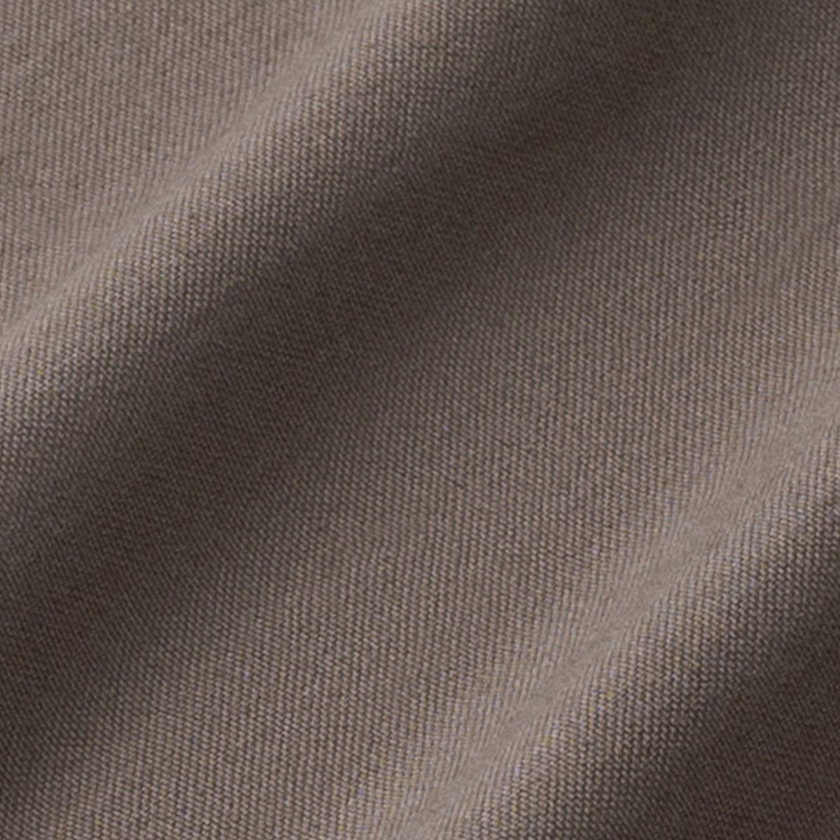 PUSH PUSH PP ELIO SHORTS