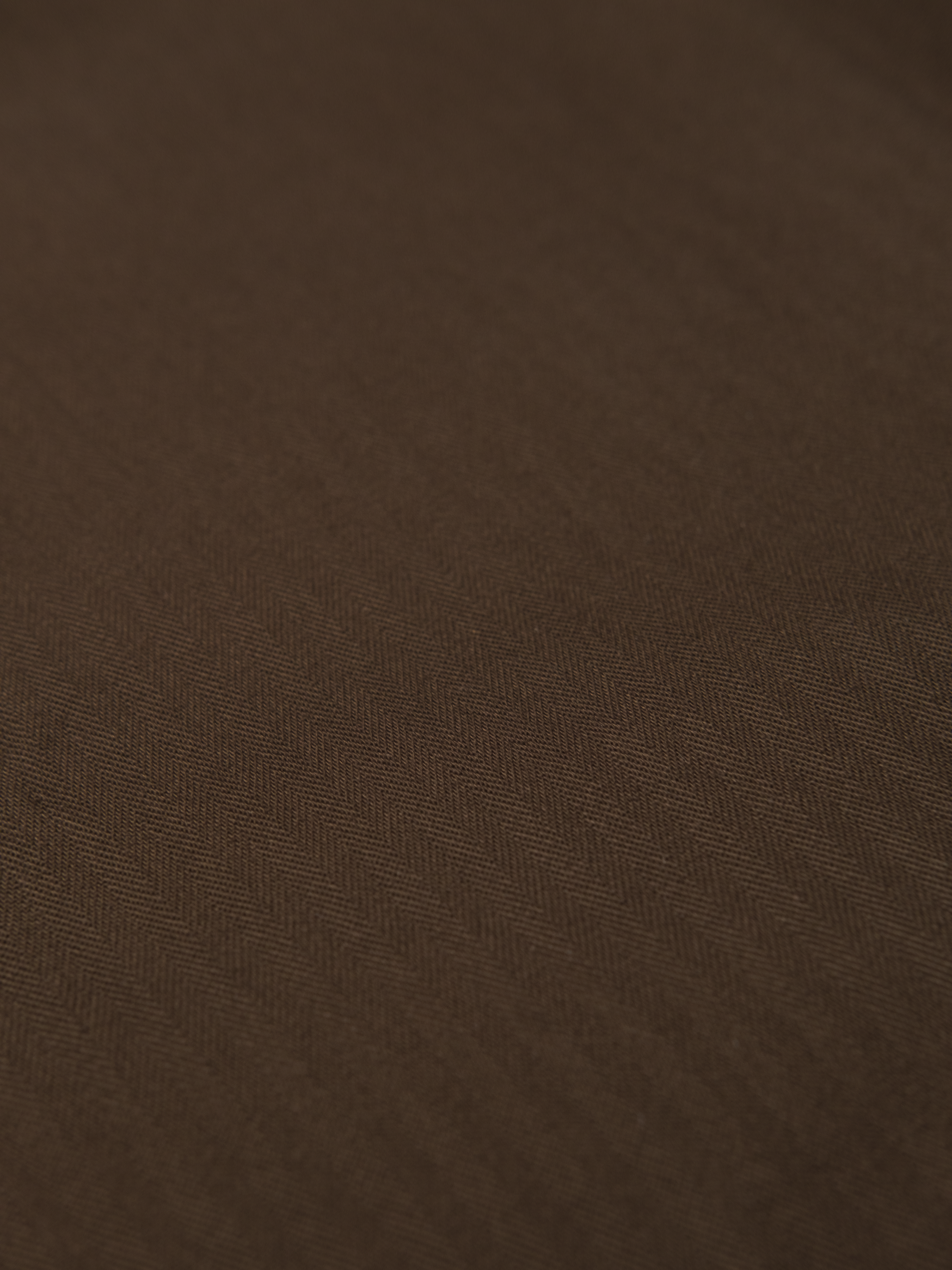 Goers Studio Double Pleated Trousers in Coffee Brown